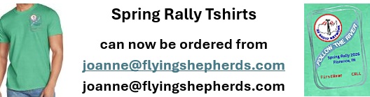 Spring Rally 26 Tshirt